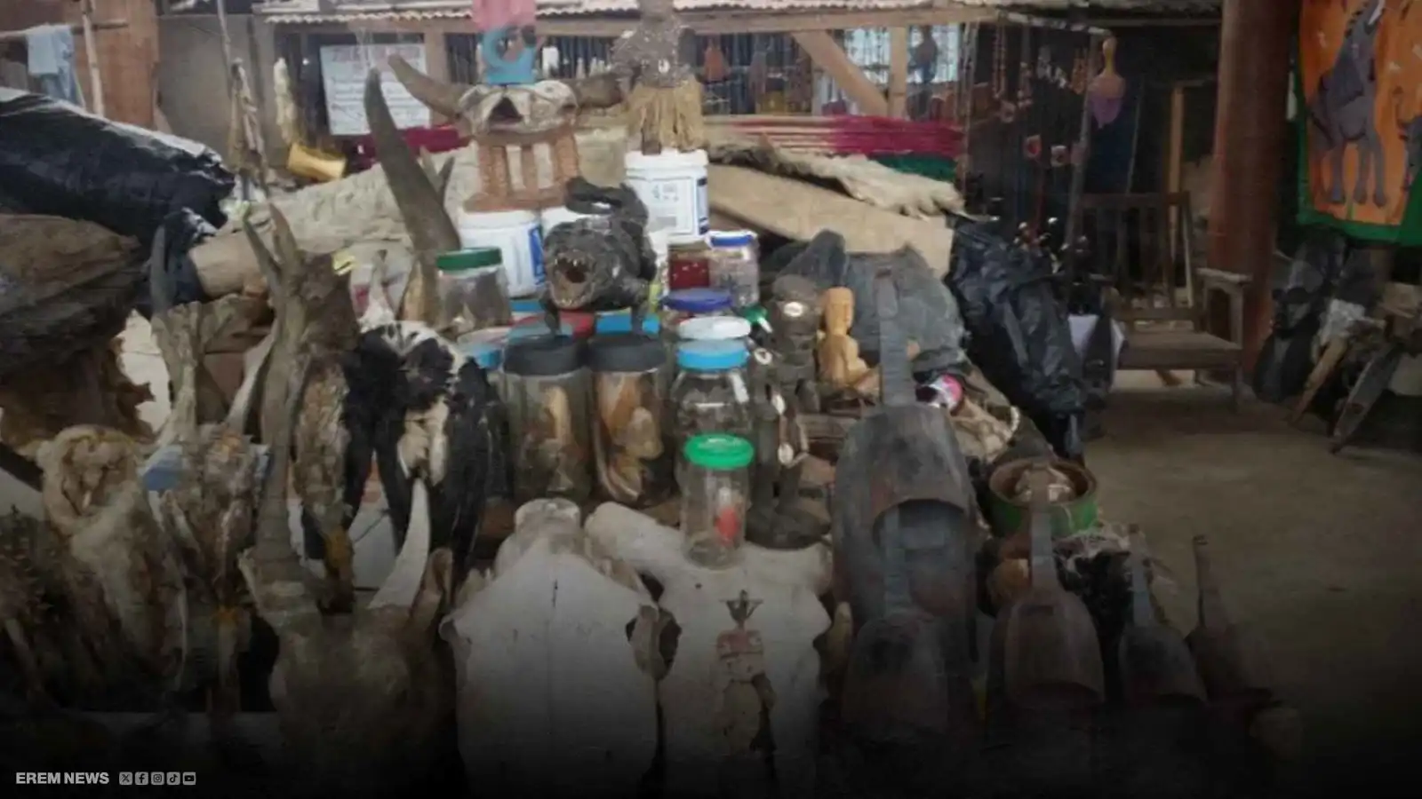 سحر انتخابي.. مرشحو أوغندا يستنجدون بالمشعوذين للفوز