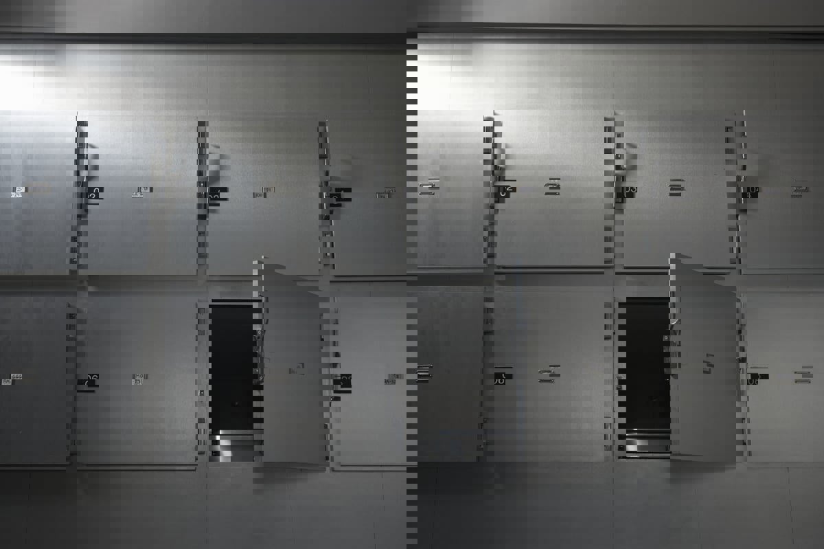 فضيحة في "هارفارد الأمريكية".. بيع أقدام وأيدٍ ورؤوس