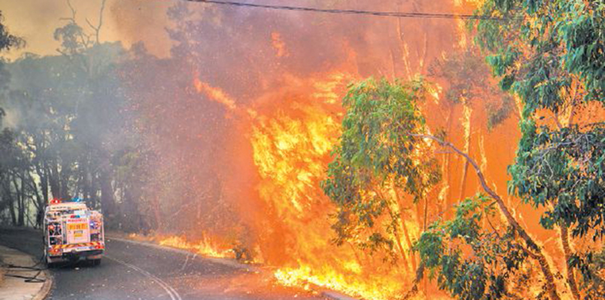 طائر يتسبب في نشوب حريق هائل قرب كانبيرا في أستراليا