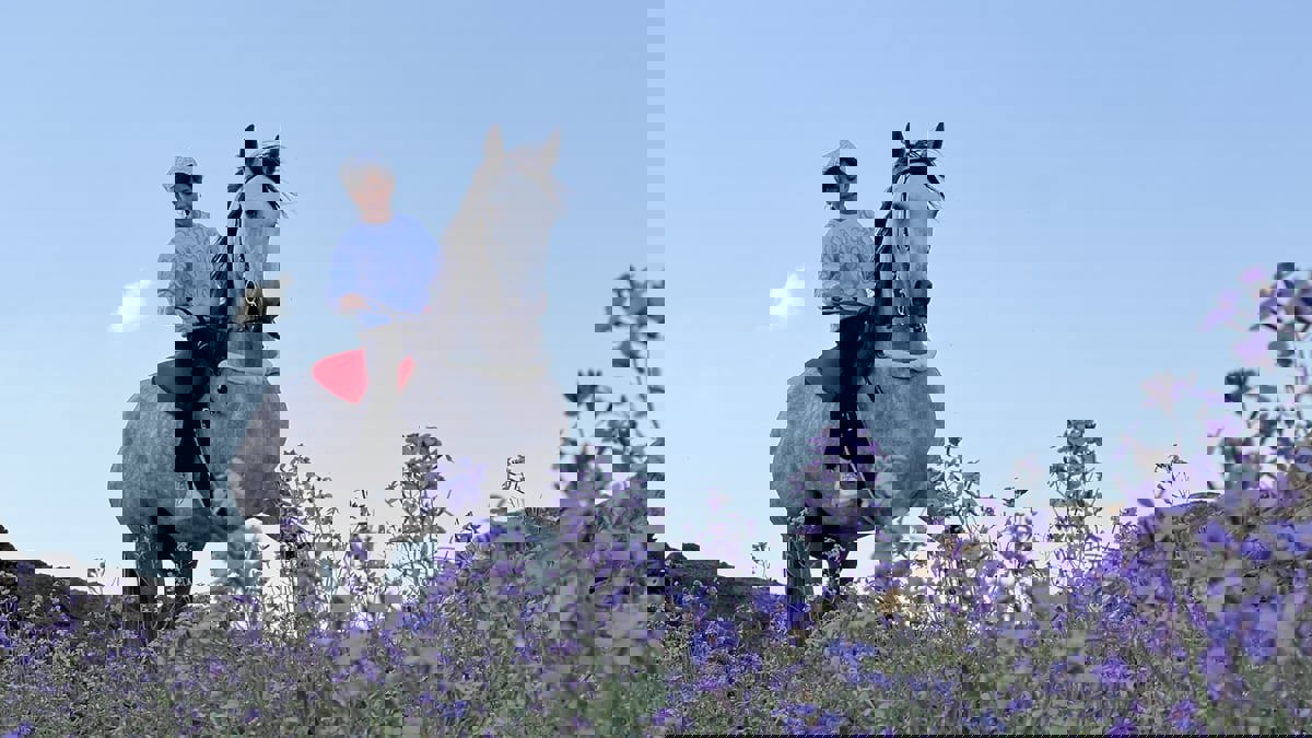 طالبة تصل مدرستها على ظهر فرس في مشهد فريد بالسعودية (فيديو)‎