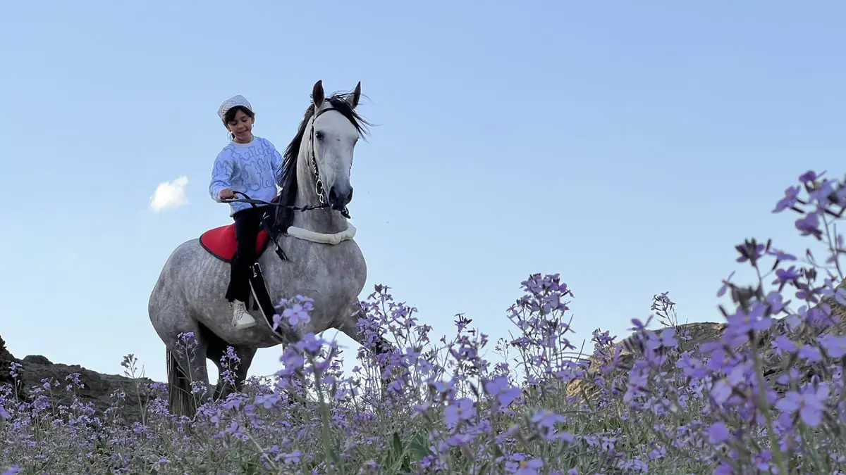 طالبة تصل مدرستها على ظهر فرس في مشهد فريد بالسعودية (فيديو)‎