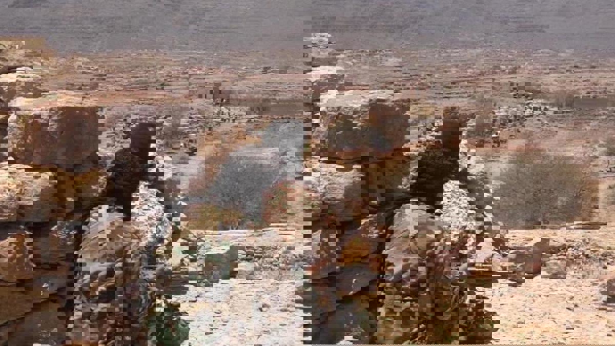 اليمن.. المقاومة الجنوبية تحبط هجومين للحوثيين في منطقة الفاخر شمالي محافظة الضالع