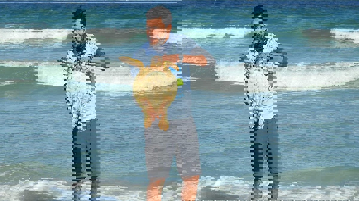 أنقذ 100 سلحفاة.. تونسي ينذر حياته لحماية الحيوانات البحرية من الانقراض