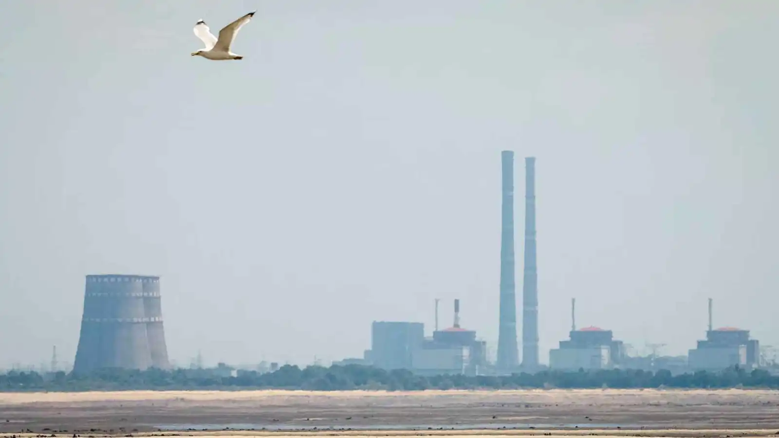 روسيا تعلن استقرار الأوضاع في محطة زابوريجيا النووية