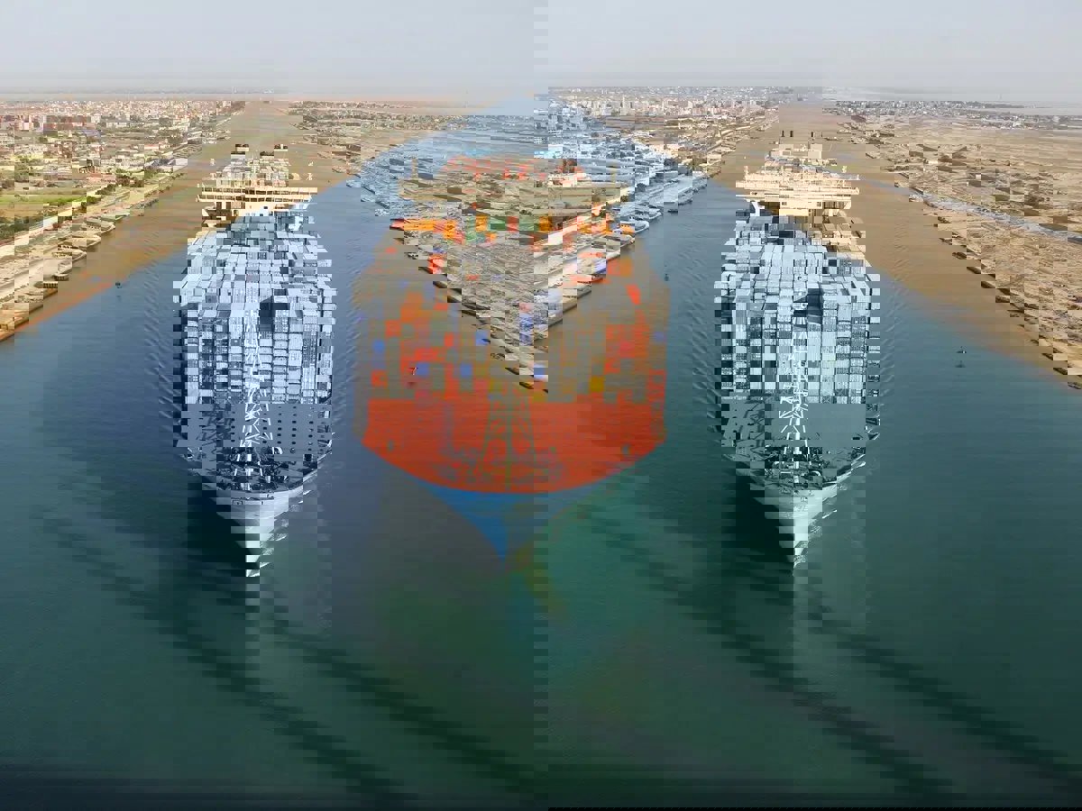 فضل المحروسة