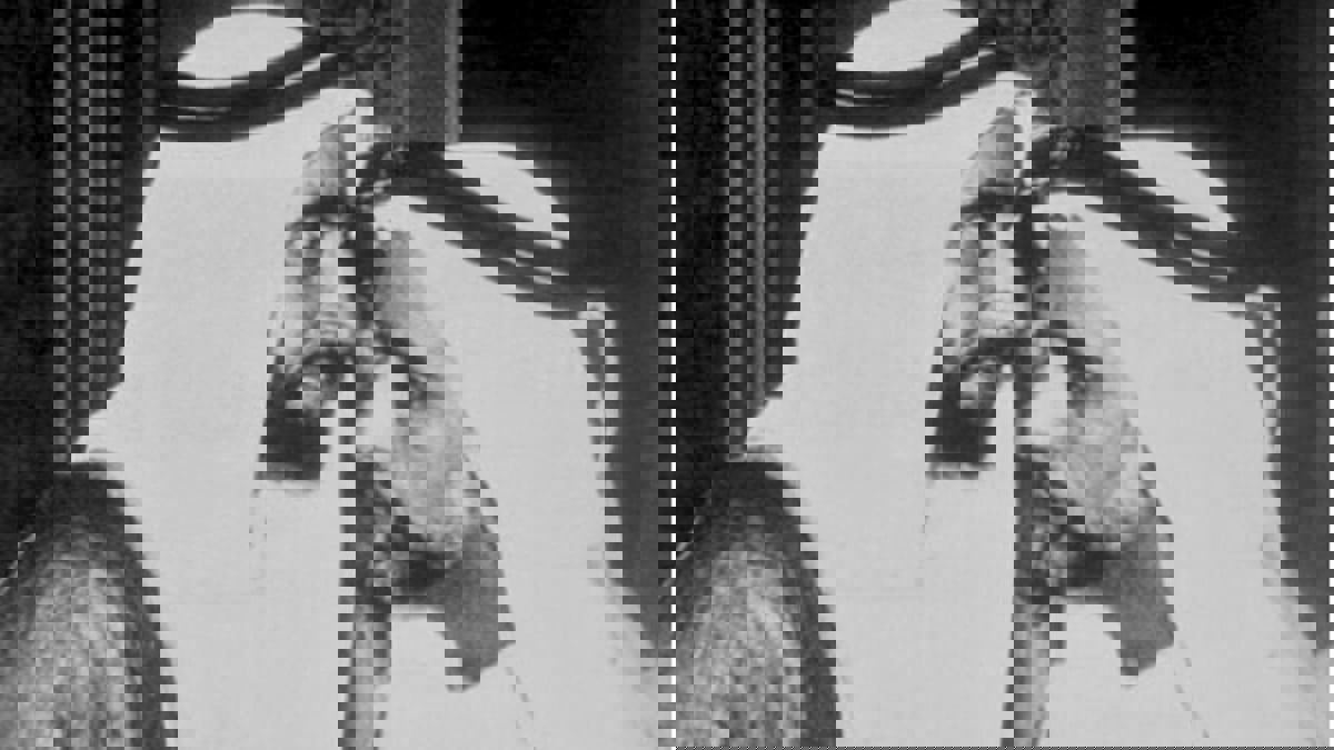 الإمارات.. وفاة أحمد بن محمود البلوشي أول سكرتير خاص للشيخ زايد