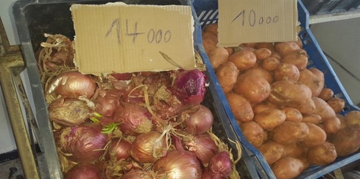 المغرب يلجأ إلى استيراد البصل للحد من ارتفاع أسعاره في السوق المحلية