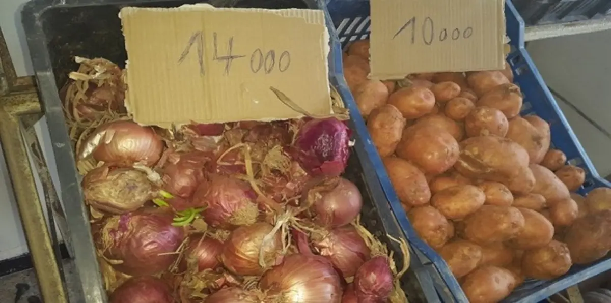 المغرب يلجأ إلى استيراد البصل للحد من ارتفاع أسعاره في السوق المحلية
