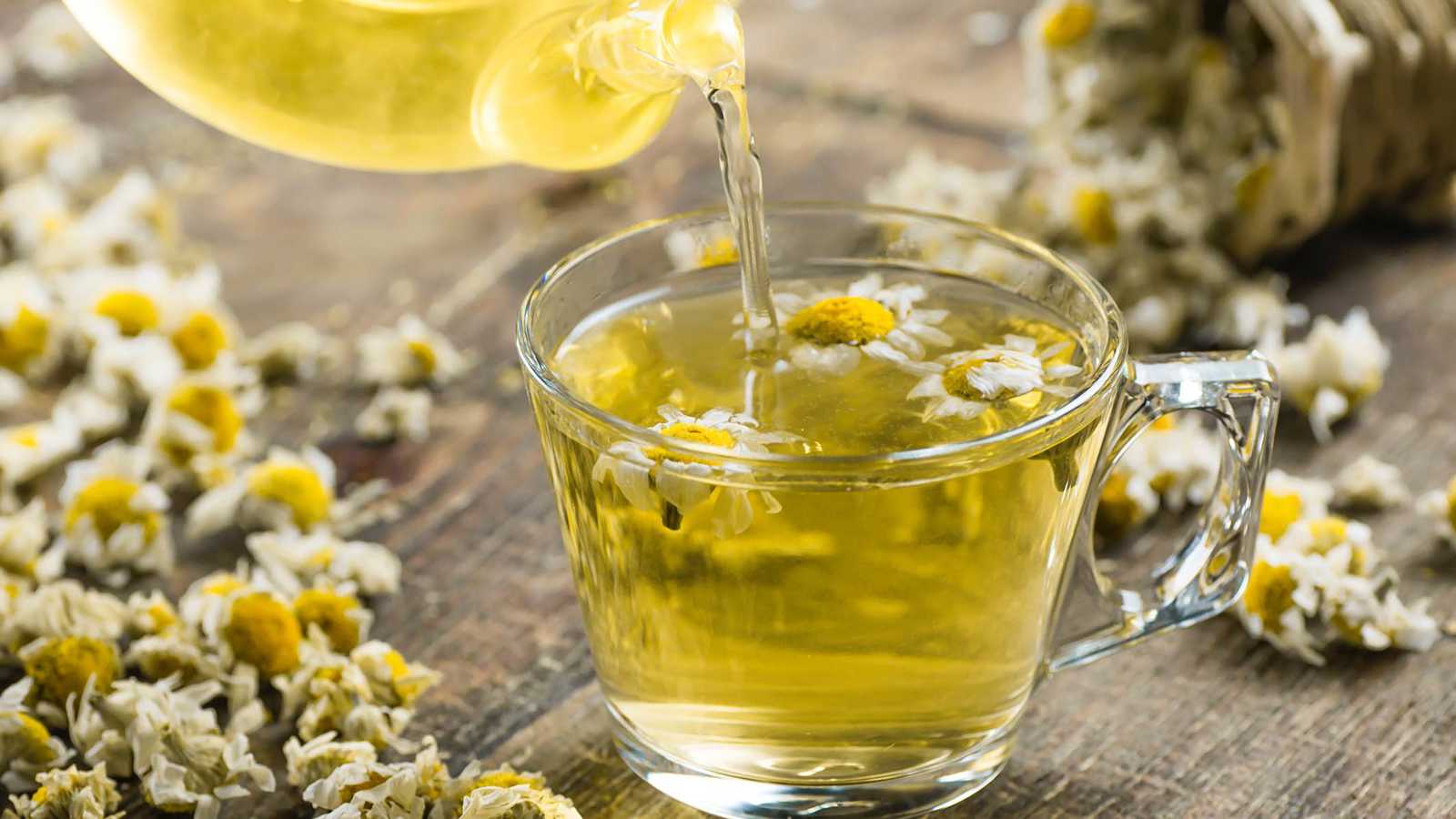 البابونج.. عشبة شائعة لتحسين النوم وخفض ضغط الدم