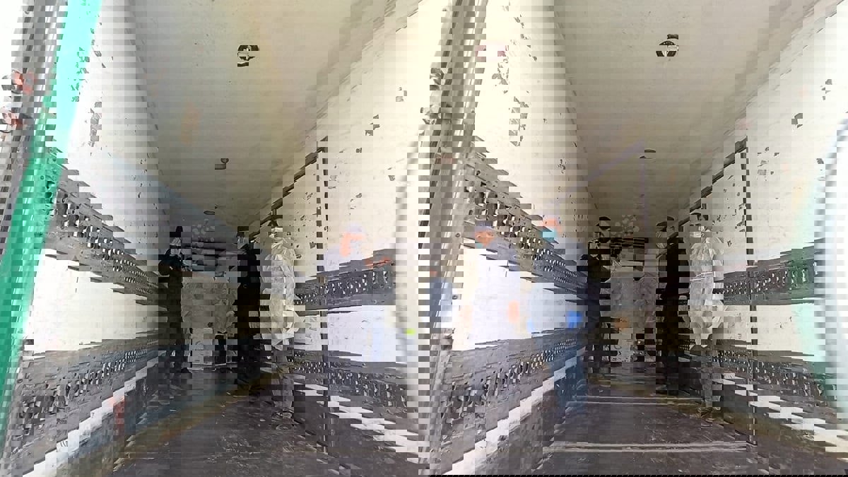 غزة تستقبل أولى جرعات لقاح "سبوتنيك" الروسي لعلاج كورونا (صور)