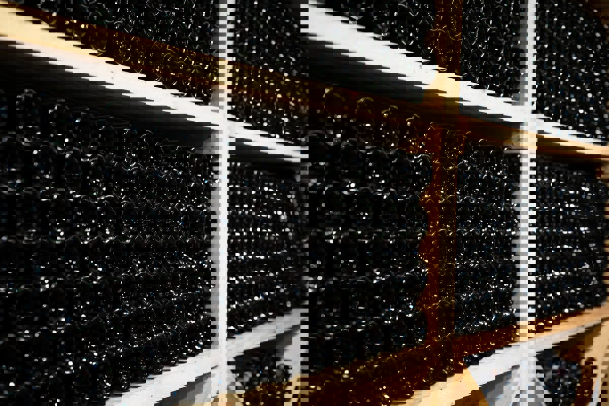 المغرب.. ارتفاع حصيلة ضحايا "الخمر المغشوش" إلى 15