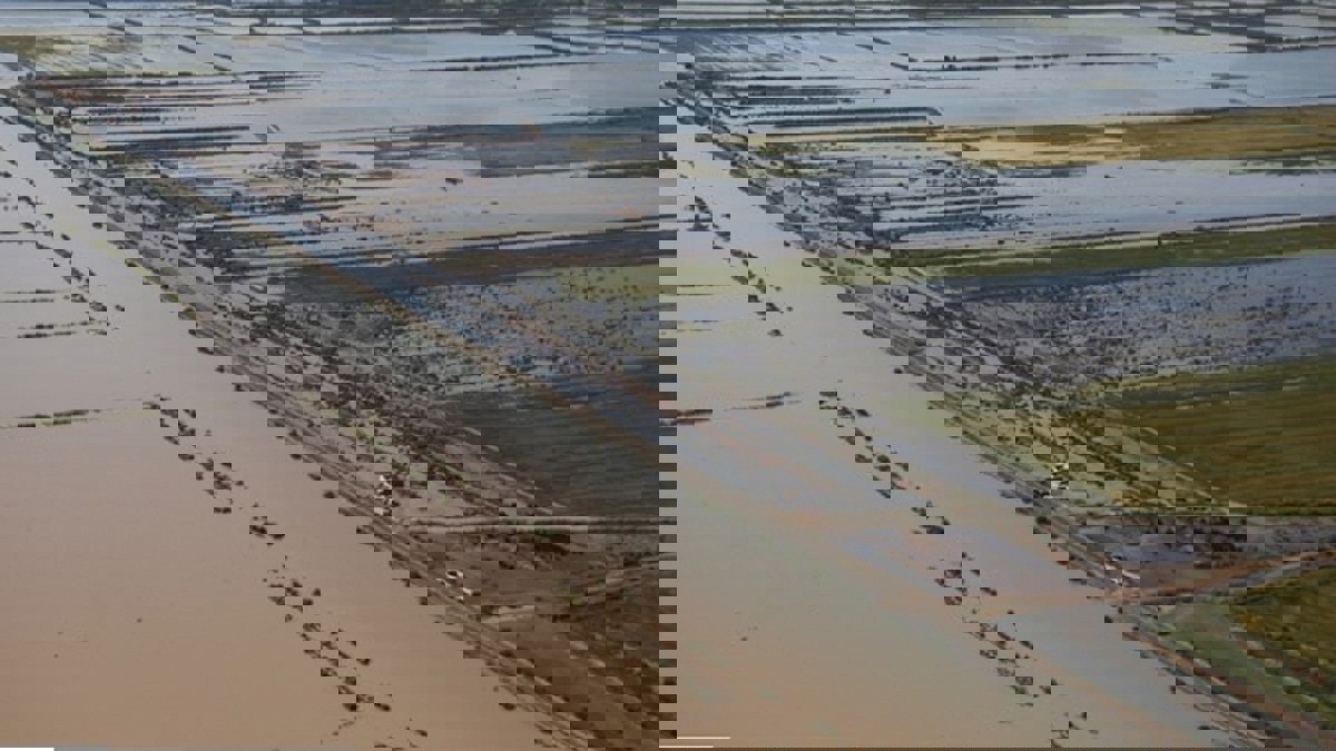 الأرصاد الإيرانية تحذر من سيول شديدة تضرب عدة محافظات خلال ساعات