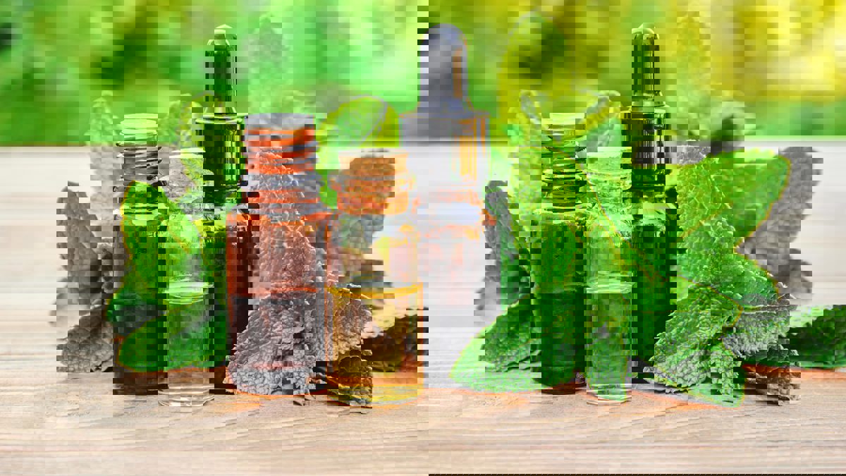 ضبط شركة تسوق أعشابًا لعلاج السرطان في الكويت