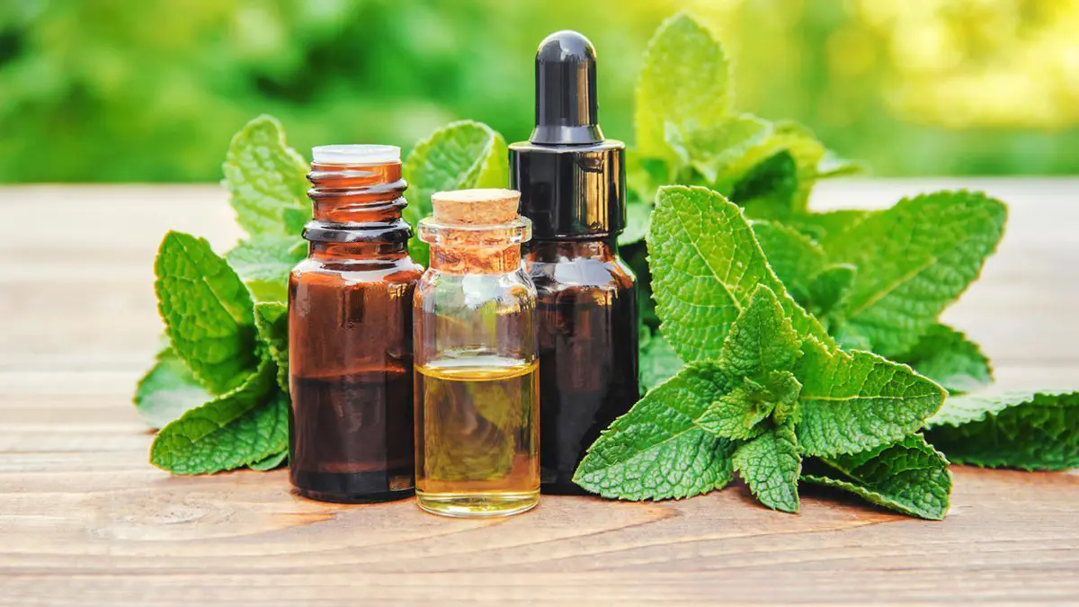 ضبط شركة تسوق أعشابًا لعلاج السرطان في الكويت