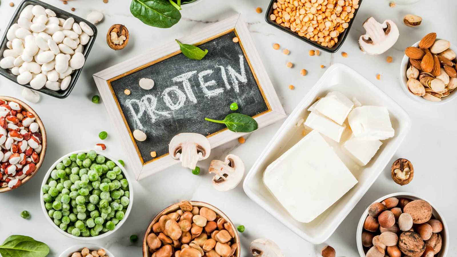 البروتين النباتي أم الحيواني.. تعرّف على ملامح "الحمية التي تطيل العمر"