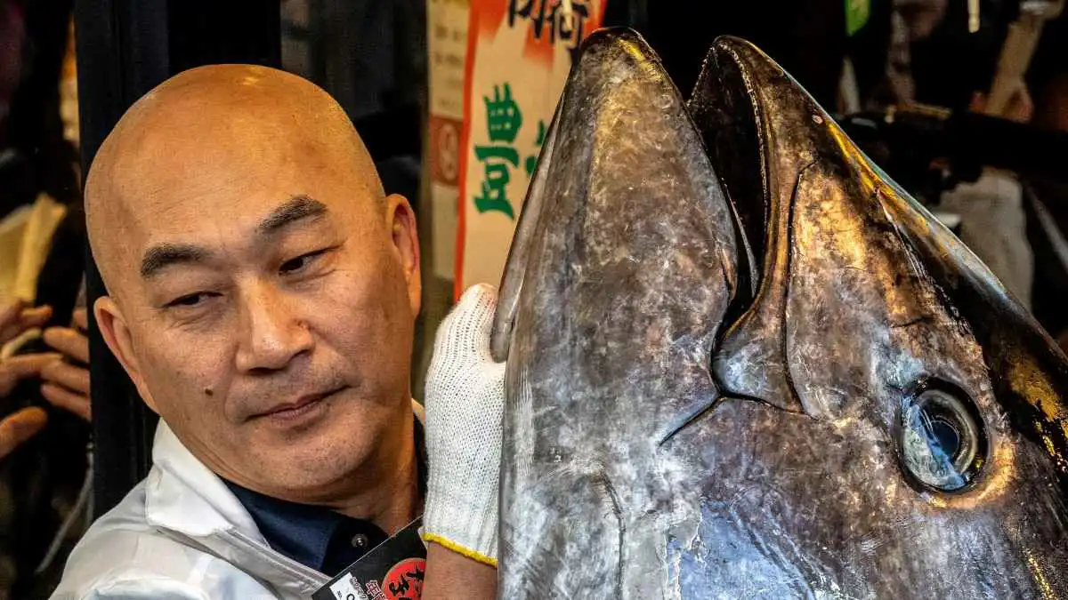 "سعر صادم".. مالك مطعم سوشي يشتري أغلى سمكة تونة في التاريخ (فيديو)