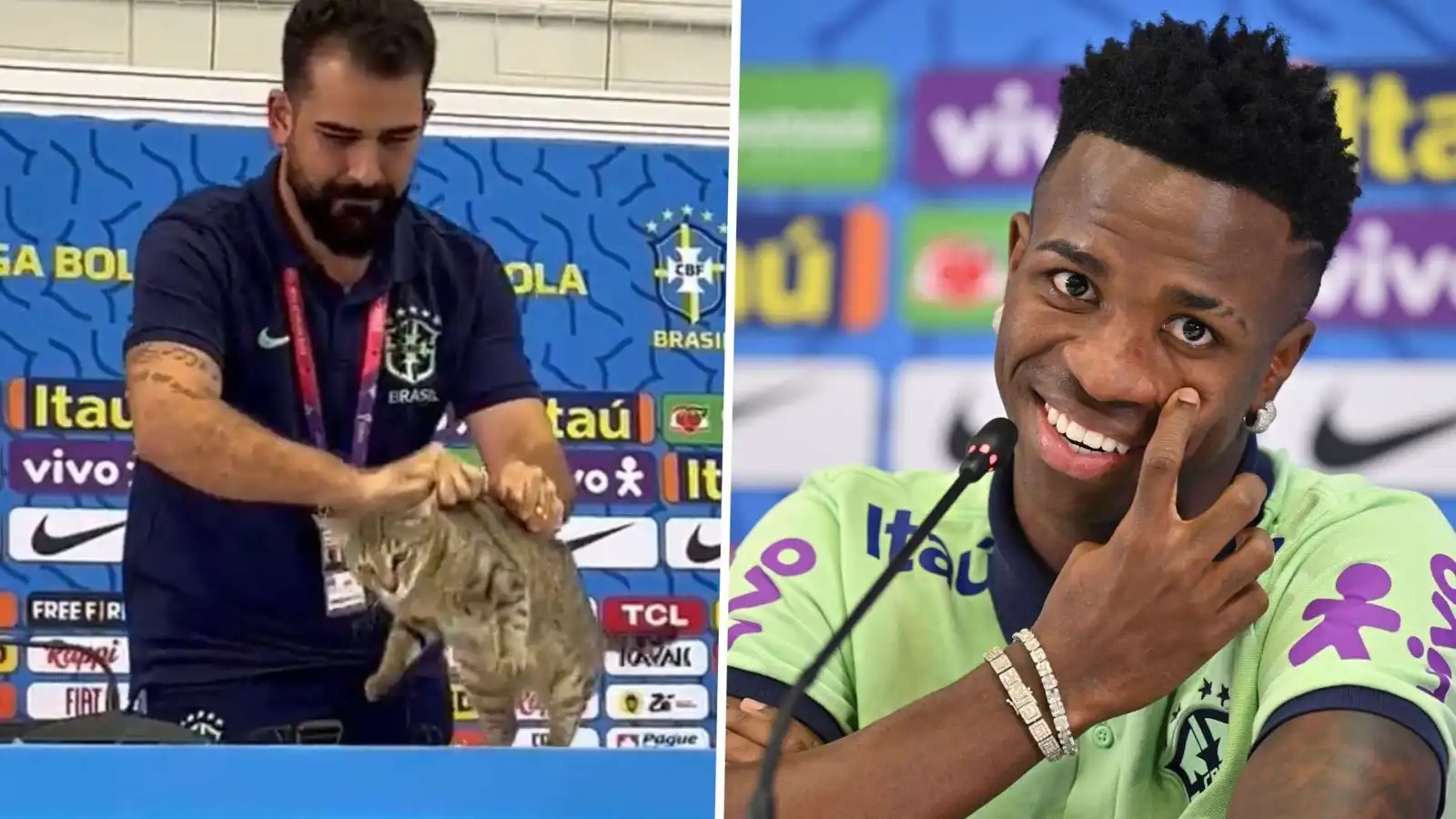 القطة في مؤتمر البرازيل