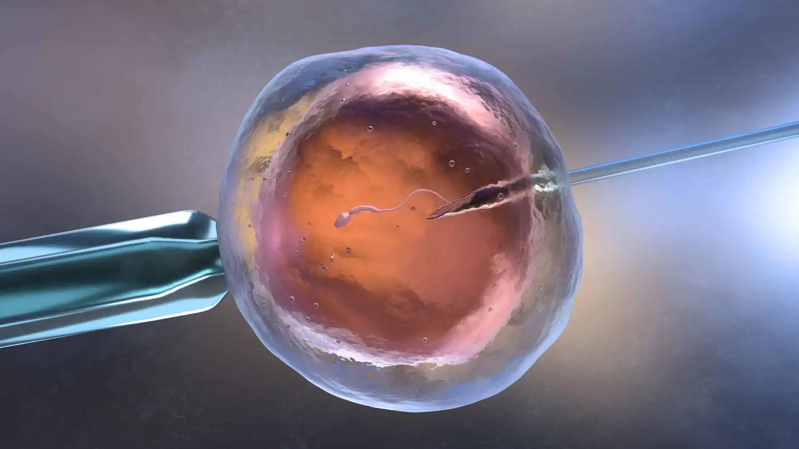 دراسة تطمئن النساء.. علاجات الخصوبة لا ترفع خطر الإصابة بالسرطان