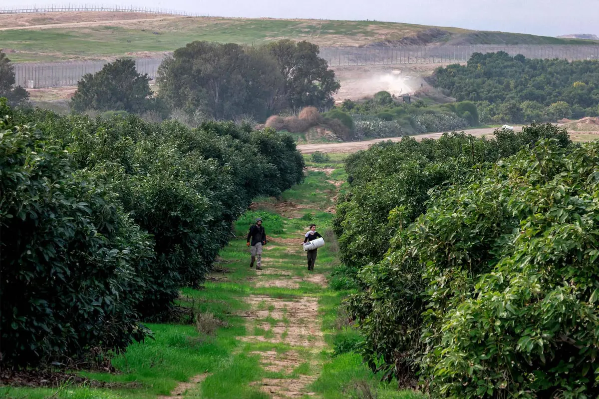 ردا على نقص العمالة.. فرنسيون يتطوعون إلى إسرائيل