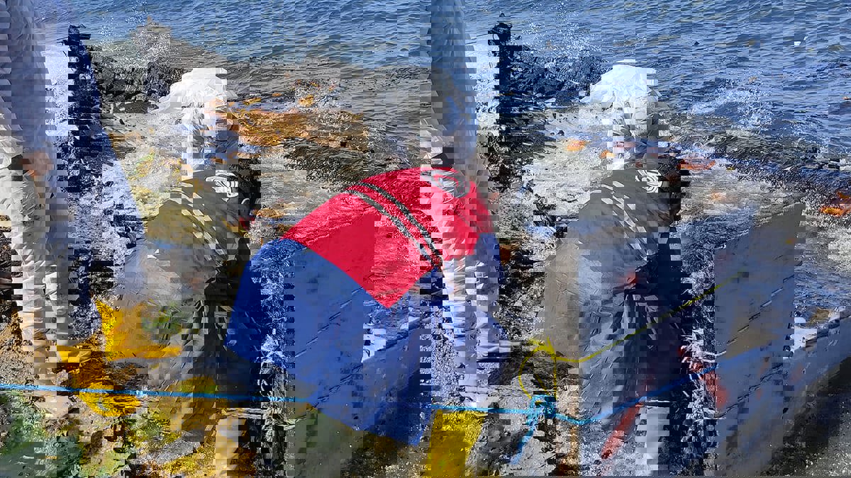 البعثة الأممية تحث السلطات الليبية على محاسبة قتلة 15 مهاجرا في صبراتة
