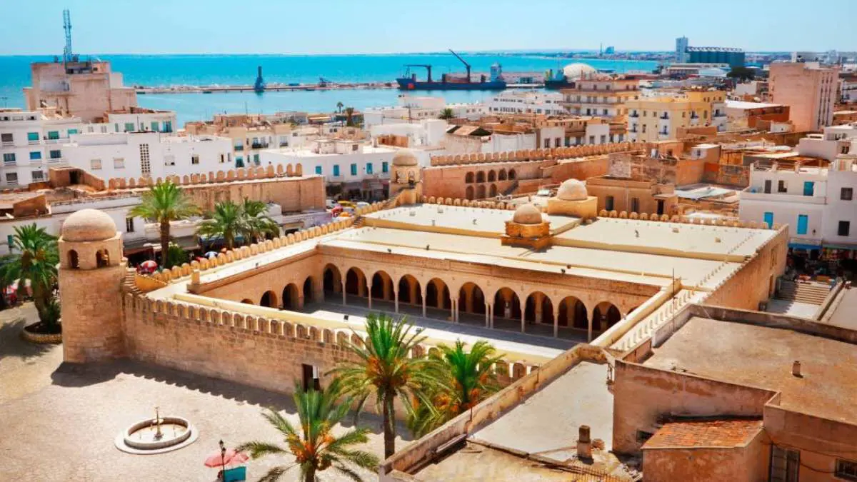 "ثروة مهدورة".. تونس تكافح لاستعادة كفاءاتها من الخارج