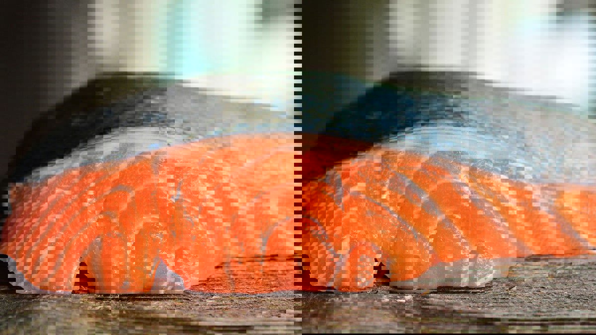 دراسة: الإفراط في تناول "سلمون المزارع" قد يسبب السرطان