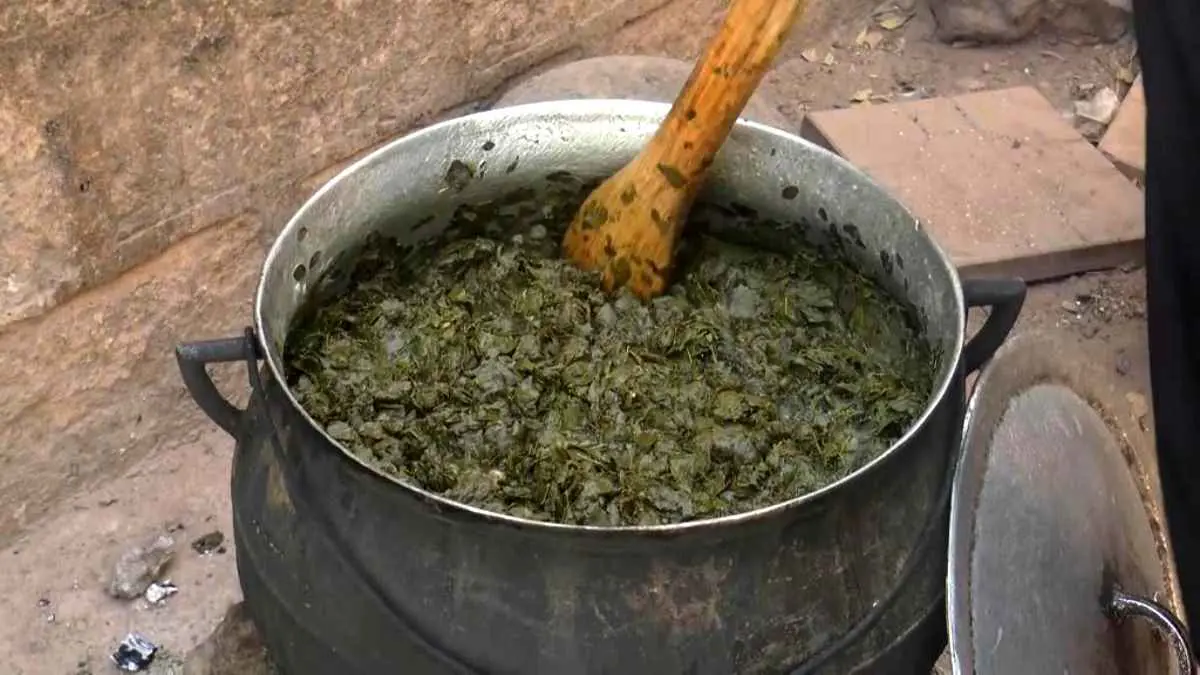 رغم غلائها.. "المورينجا" أشهر طبق شعبي بالنيجر في رمضان