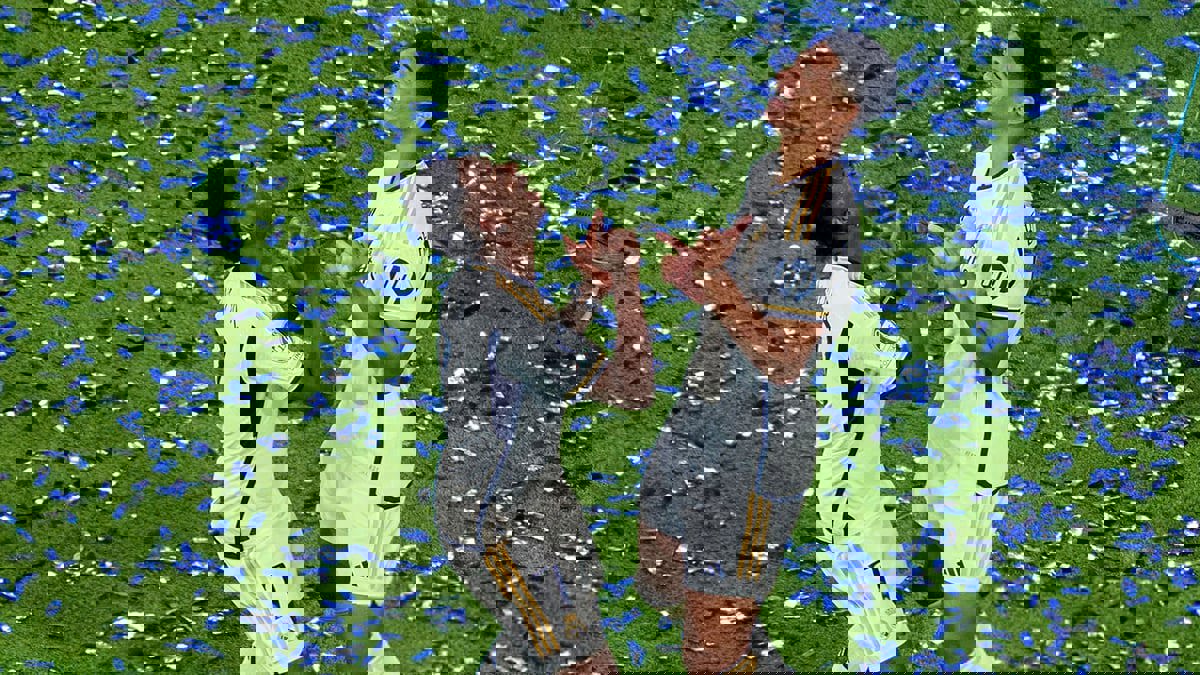 فينيسيوس وبيلينغهام يحصدان جوائز الأفضل في دوري أبطال أوروبا