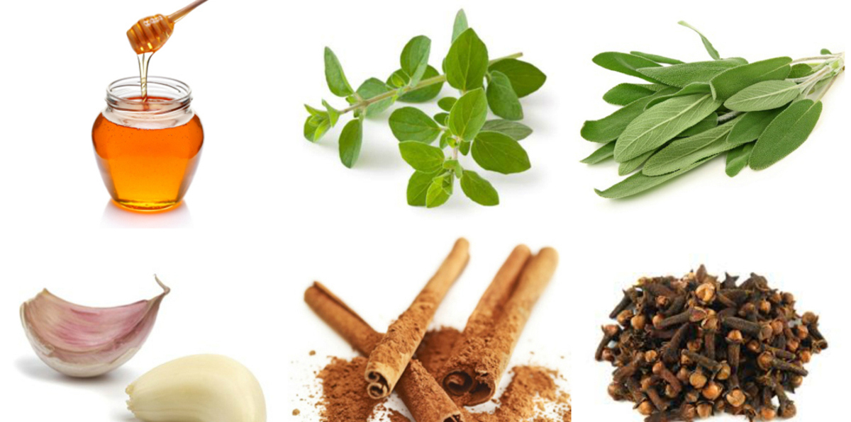 7 مضادات حيوية طبيعية تكافح البكتيريا‎