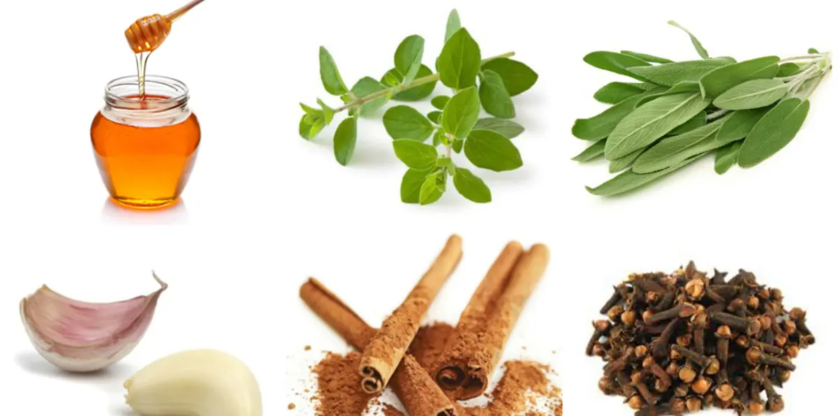 7 مضادات حيوية طبيعية تكافح البكتيريا‎