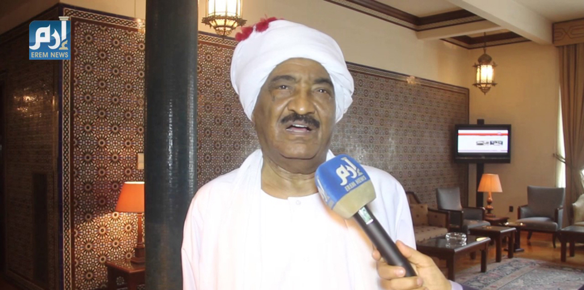 السفير السوداني بالقاهرة يعلق على مصادرة أسلحة مصرية بدارفور.. والعرابي يرد (فيديو إرم)