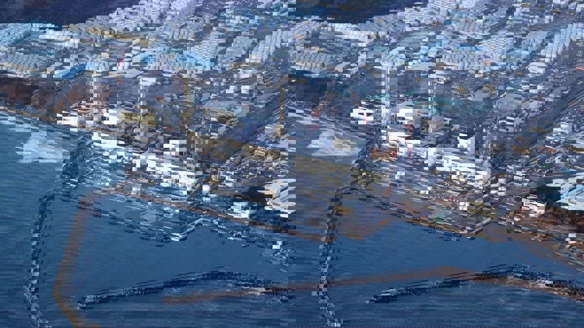 روسيا تحظر استيراد هذه المأكولات من اليابان