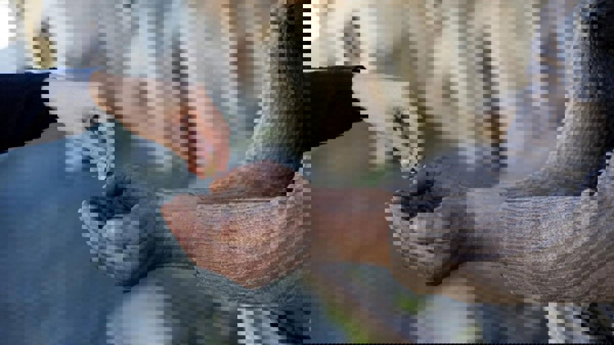 الأردن.. ضبط متسول يمتلك وأسرته 5 سيارات ومركز لياقة