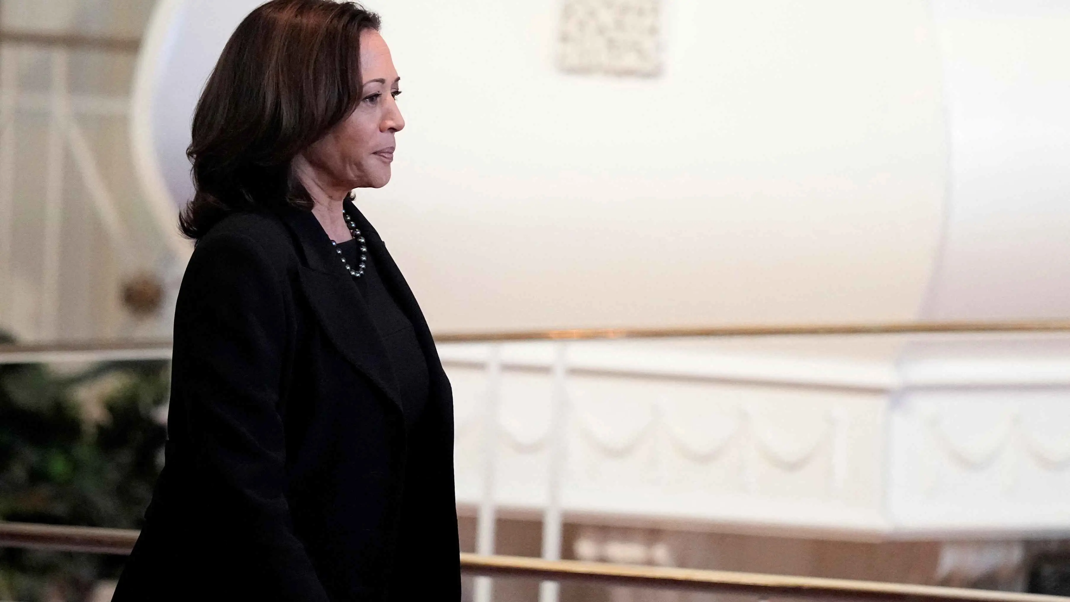 صحيفة: كامالا هاريس "تخفي الكثير" ومستعدة لمواجهة ترامب