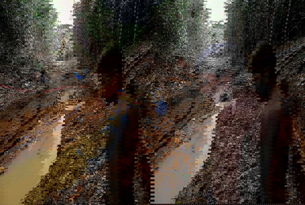 تقرير: ذهب الأمازون سرطان يصعب استئصاله في البرازيل