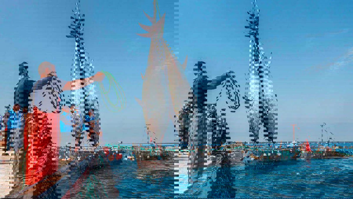 "العدل الأوروبية" تلغي اتفاق الصيد مع المغرب