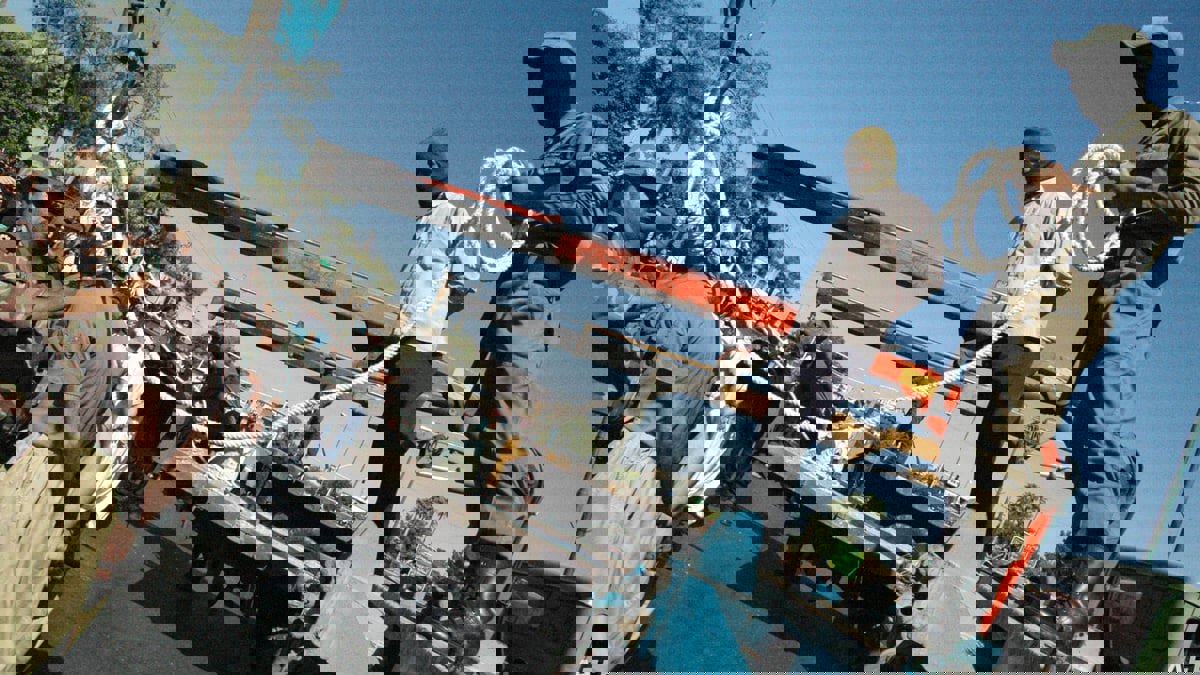 تنديد أممي بعدد "مخيف" من عمليات الإعدام في إيران