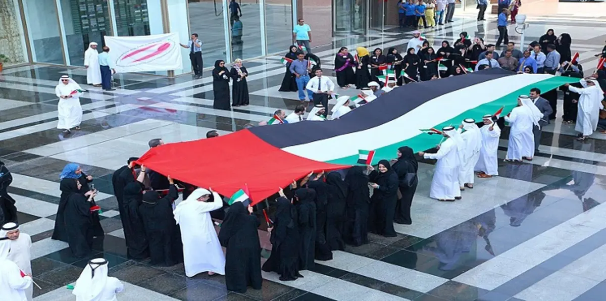 شاهد بالفيديو.. لحظة رفع علم الإمارات لأول مرة في الأمم المتحدة