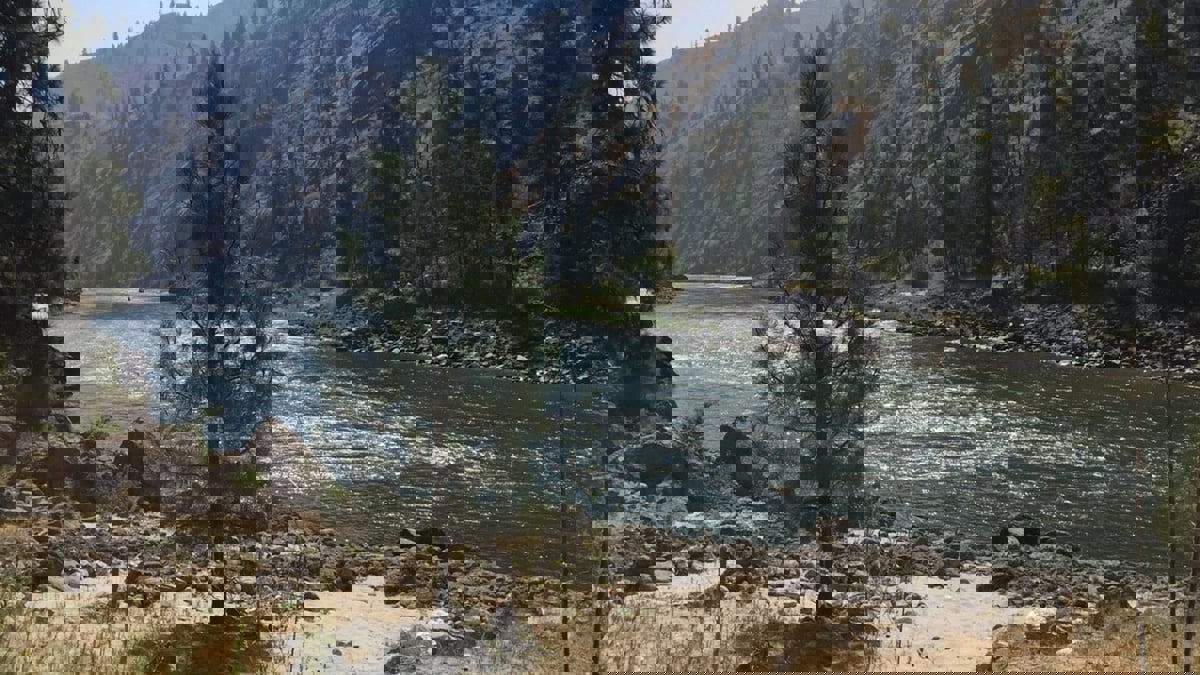 سمكة قرش تثير رعب سكان بلدة أمريكية