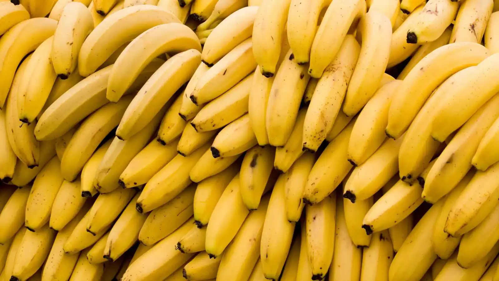 فاكهة الأغنياء.. الموز يغيب عن الموائد التونسية في رمضان