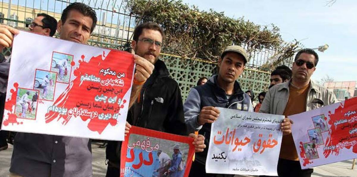 إيرانيون يطالبون بسن قانون يحمي الحيوانات