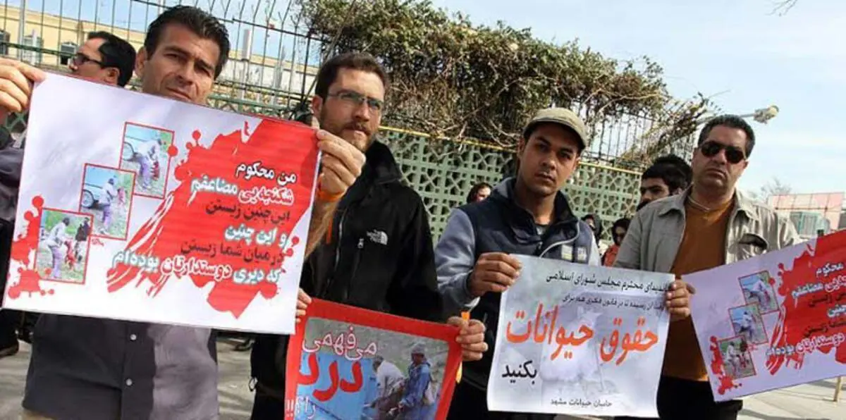 إيرانيون يطالبون بسن قانون يحمي الحيوانات