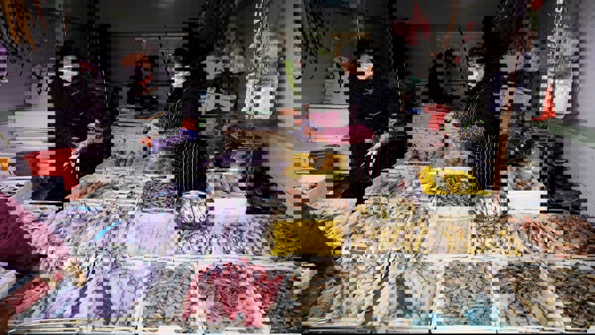 دراسة: نحو 50 ألف حيوان حي كانت مطروحة في أسواق ووهان الصينية قبل الجائحة‎