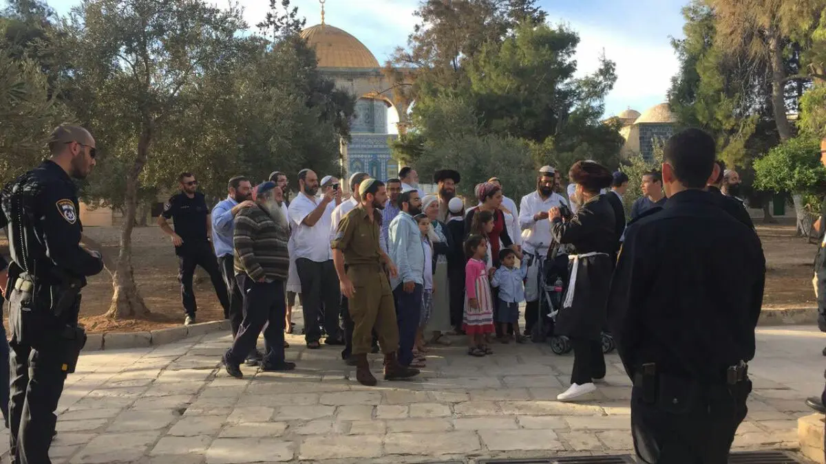 مستوطنون يقيمون حفلاً موسيقيًا صاخبًا قرب المسجد الأقصى (فيديو)