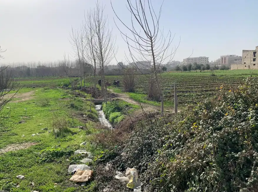 مزارع الغوطة 