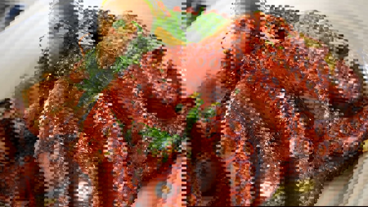 العثور على أخطبوط عالق في حلق مريض