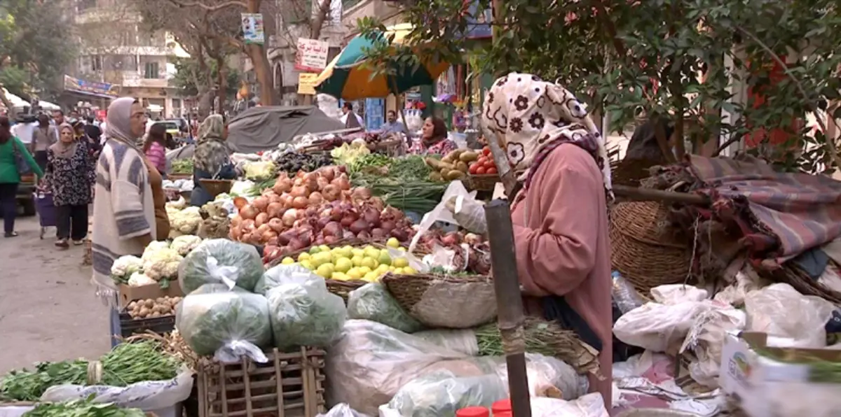 الحكومة المصرية تبحث فرض ضرائب ورسوم جديدة