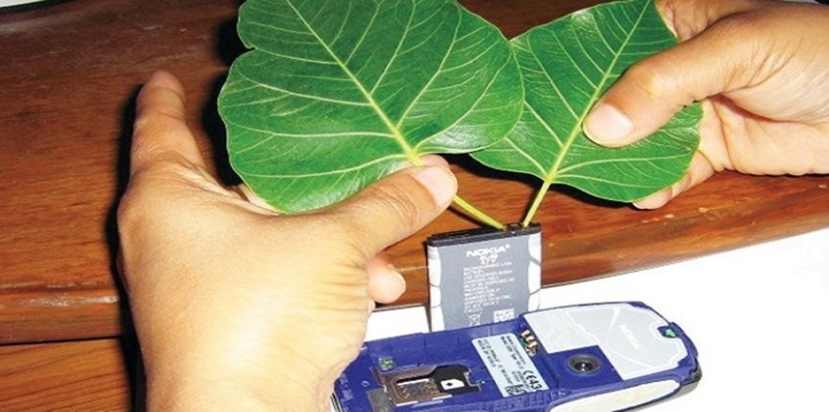 اشحن هاتفك بالنباتات