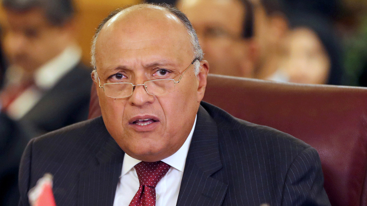 مصر: لن نسمح بتحول ليبيا إلى نقطة "تهديد إرهابي" في أفريقيا