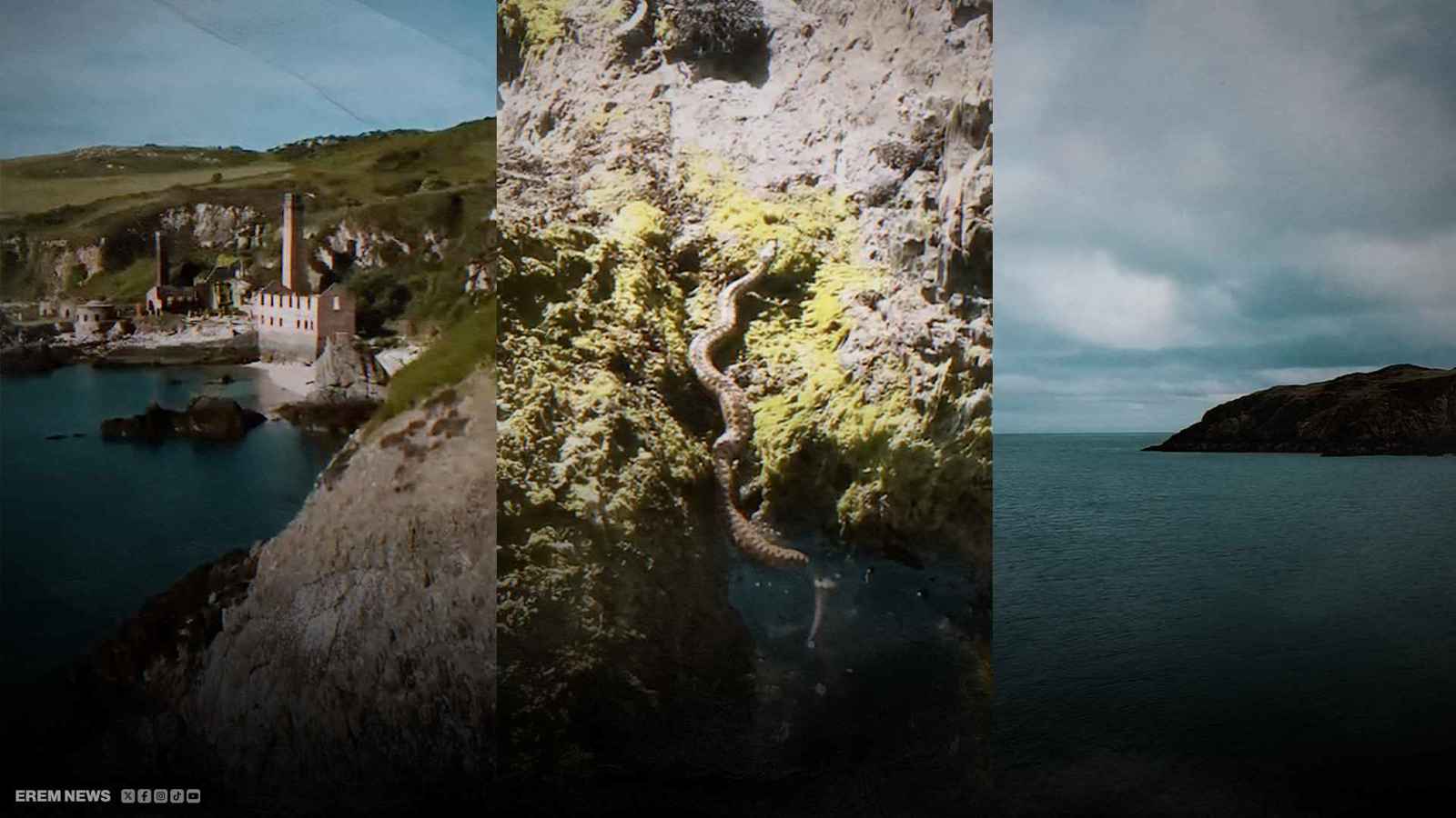 مفاجأة سامة في "شاطئ إنستغرام"